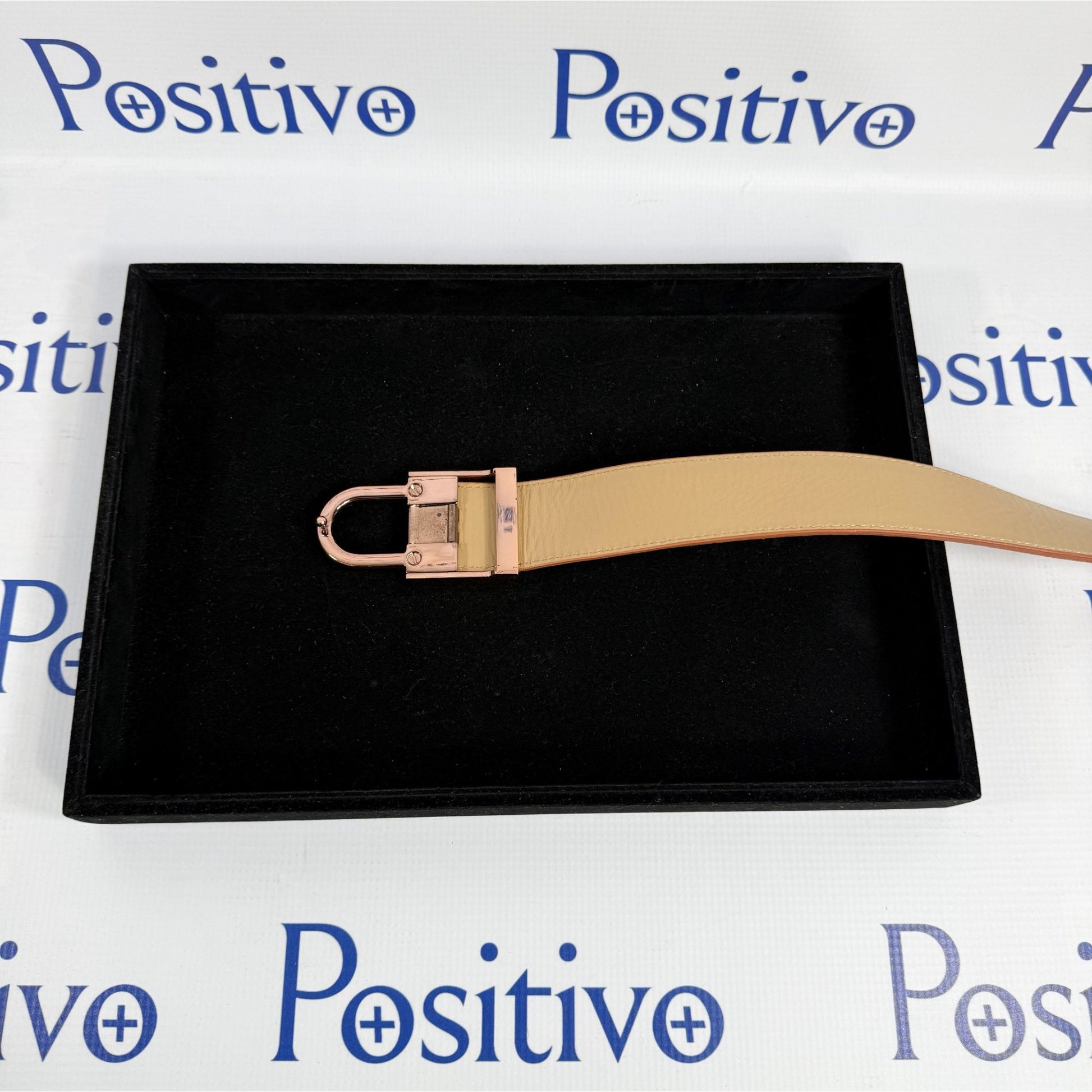 Buscemi Belt Lock Terra Nubuck Leather | Positivo Clothing